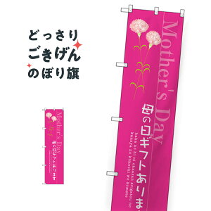 �X�����T�C�Y ��̓��M�t�g����܂� �̂ڂ�� SNB-2744 �t�̍s��