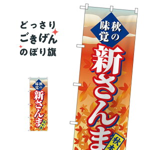 V ̂ڂ SNB-4260 ܁EH