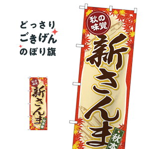 V ̂ڂ SNB-4261 ܁EH