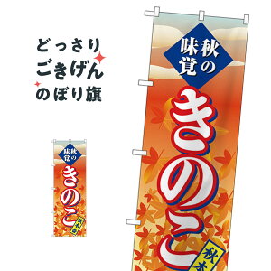 ̂ ̂ڂ SNB-4266 ̂E