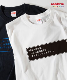 Tシャツ ここは青森県だよ ドライ 速乾 発汗性の良い快適素材 ドライTシャツ