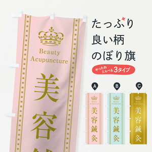 【ネコポス送料360】 のぼり旗 美容鍼灸のぼり TSCU 接骨院・鍼灸 グッズプロ 【名入れできます+1017円】