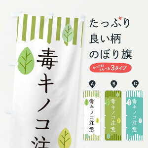 ylR|X360z ̂ڂ ŃLmRӂ̂ڂ TX8Y ̂E ObYv ył܂+1017~z