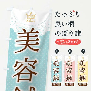 【ネコポス送料360】 のぼり旗 美容鍼のぼり 13E9 専門店 接骨院・鍼灸 グッズプロ 【名入れできます+1017円】