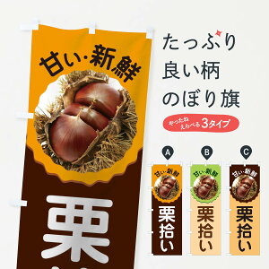 ylR|X360z ̂ڂ IÊڂ 1GFW ʕ ObYv ył܂+1017~z