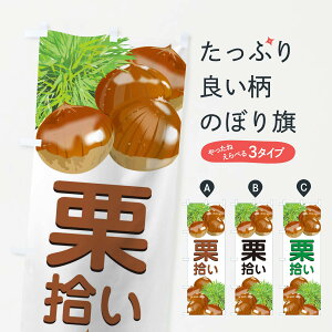 ylR|X360z ̂ڂ IÊڂ 1GFJ ʕ ObYv ył܂+1017~z