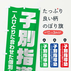 【ネコポス送料360】 のぼり旗 子別指導塾のぼり 2YY0 学習塾 個別指導 グッズプロ 【名入れできます+1017円】