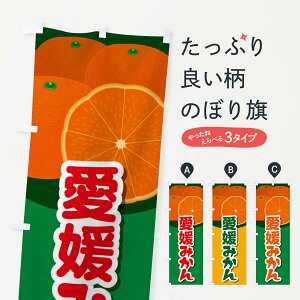 ylR|X360z ̂ڂ Q݂̂ڂ 23TU ݂Ek ObYv ył܂+1017~z