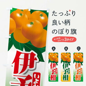 ylR|X360z ̂ڂ ɗ\悩̂ڂ 23Y3 ݂Ek ObYv ył܂+1017~z