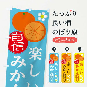 ylR|X360z ̂ڂ ݂̂ڂ 25WH ~J  ݂Ek ObYv ył܂+1017~z