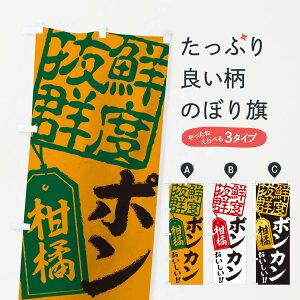 ylR|X360z ̂ڂ |Ĵڂ 2XNR ݂Ek ObYv ył܂+1017~z