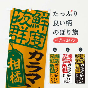 ylR|X360z ̂ڂ J}_^k̂ڂ 2X57 ݂Ek ObYv ył܂+1017~z