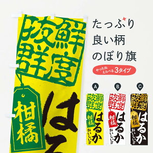 ylR|X360z ̂ڂ ͂邩^k̂ڂ 2X5C ݂Ek ObYv ył܂+1017~z