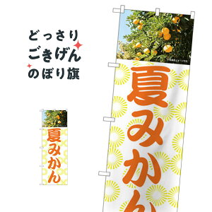 Ă݂ ̂ڂ 81992 ݂Ek