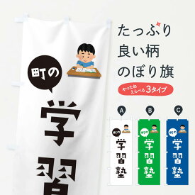 【ネコポス送料360】 のぼり旗 学習塾のぼり E1HW 受験対策 グッズプロ グッズプロ グッズプロ 【名入れできます+1017円】