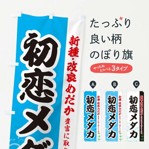 ylR|X360z ̂ڂ _Ĵڂ EU8R ߂ ߂VE ObYv ył܂+1017~z