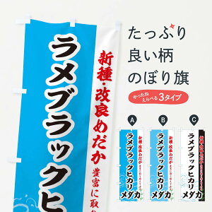 ylR|X360z ̂ڂ ubNqJ_Ĵڂ EF72 ߂ VEǂ߂ ObYv ył܂+1017~z