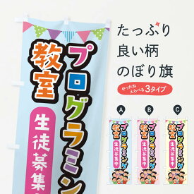 【ネコポス送料360】 のぼり旗 プログラミング教室のぼり E41E グッズプロ 【名入れできます+1017円】