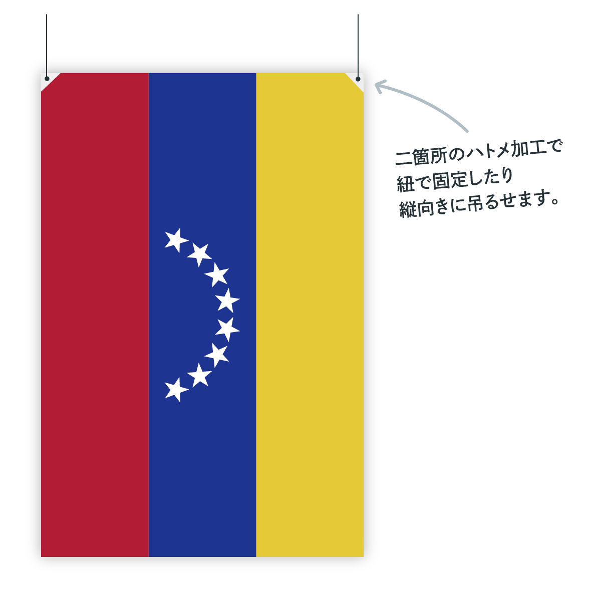 楽天市場】ベネズエラ・ボリバル共和国 国旗 W75cm H50cm : グッズプロ