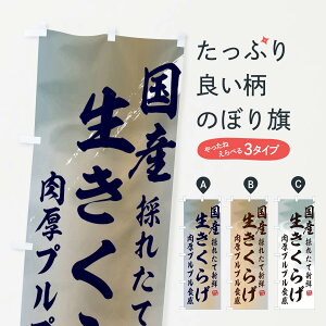 ylR|X360z ̂ڂ Y炰̂ڂ E65X ̂E ObYv ył܂+1017~z