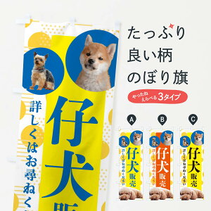 ylR|X360z ̂ڂ e̔̂ڂ ECN7 ybgVbv ObYv ObYv ył܂+1017~z