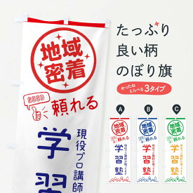 【ネコポス送料360】 のぼり旗 学習塾のぼり 3EC0 習い事 受験対策 グッズプロ 【名入れできます+1017円】