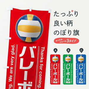 バレーボール 名入れ ホビーの人気商品 通販 価格比較 価格 Com