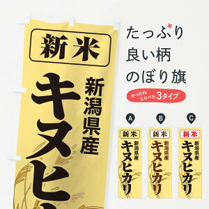 ylR|X360z ̂ڂ VāEVYELkqĴڂ 3ACU VāE ObYv ył܂+1017~z