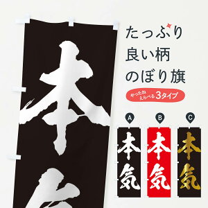 ylR|X360z ̂ڂ {CE}WEl^EpfB̂ڂ 316U  ObYv ył܂+1017~z