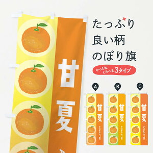 ylR|X360z ̂ڂ ÉāEIWEʕ̂ڂ 34X3 ݂Ek ObYv ył܂+1017~z