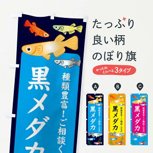 ylR|X360z ̂ڂ _Ĵڂ 30P1 ߂ ObYv ył܂+1017~z