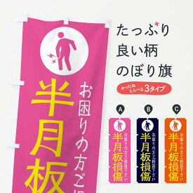 【ネコポス送料360】 のぼり旗 半月板損傷・イラストのぼり 30SW 身体の痛み グッズプロ