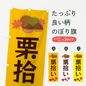 ylR|X360z ̂ڂ IEEEN̂ڂ 35LA ʕ ObYv ył܂+1017~z