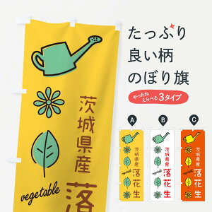 ylR|X360z ̂ڂ 錧YԐ̂ڂ 36TU  ObYv ył܂+1017~z