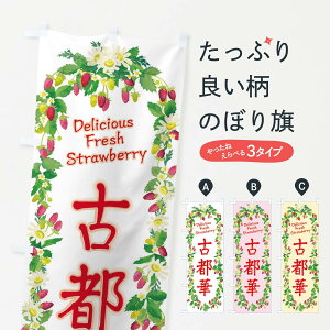 ylR|X360z ̂ڂ Ós؁EE䕁EʁE菑ECXĝڂ XYUU ObYv ył܂+1017~z