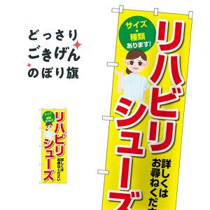 ���n�r���V���[�Y �̂ڂ�� GNB-4491 ���p�i