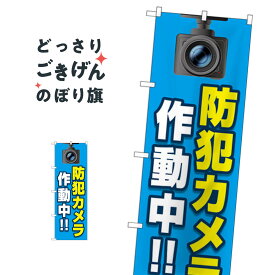 防犯カメラ作動中 のぼり旗 GNB-4582 防犯グッズ