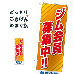 WW ̂ڂ GNB-4694 g[jOW