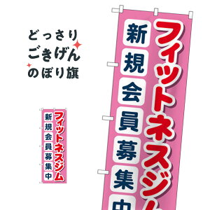 tBbglXWVKW ̂ڂ GNB-4699 g[jOW