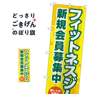 tBbglXWVKW ̂ڂ GNB-4700 g[jOW