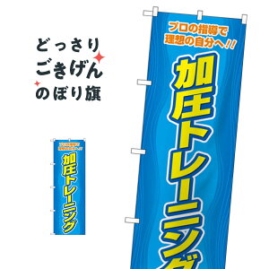 g[jO ̂ڂ GNB-4705 g[jOW