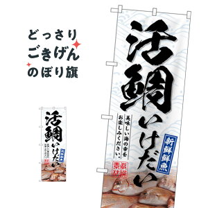 ���� �̂ڂ�� SNB-6469 �������� ���