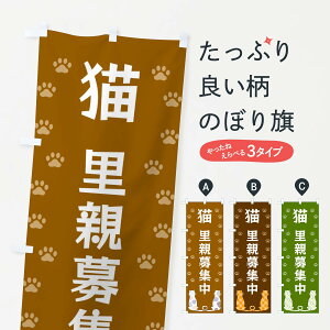 ylR|X360z ̂ڂ LeŴڂ XFA0 ybgE ObYv ył܂+1017~z