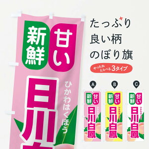 ylR|X360z ̂ڂ E씒PEÊڂ XK05 ʕ ObYv ył܂+1017~z