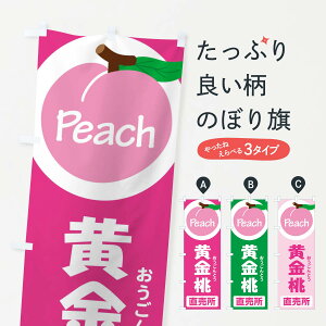 ylR|X360z ̂ڂ EEÊڂ XKT4 ʕ ObYv ył܂+1017~z