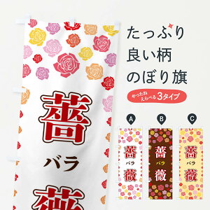 ylR|X360z ̂ڂ KN̂ڂ X9T4 Ԋe ObYv ył܂+1017~z