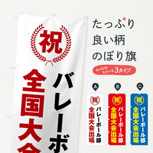 バレーボール 名入れ ホビーの人気商品 通販 価格比較 価格 Com