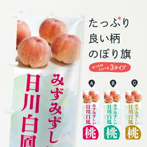 ylR|X360z ̂ڂ E씒PEÊڂ XP40 ʕ ObYv ył܂+1017~z