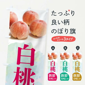 ylR|X360z ̂ڂ EEEs[`̂ڂ XP42 ʕ ObYv ył܂+1017~z