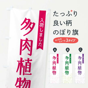 ylR|X360z ̂ڂ Aׂ܂̂ڂ F01R Ԋe ObYv